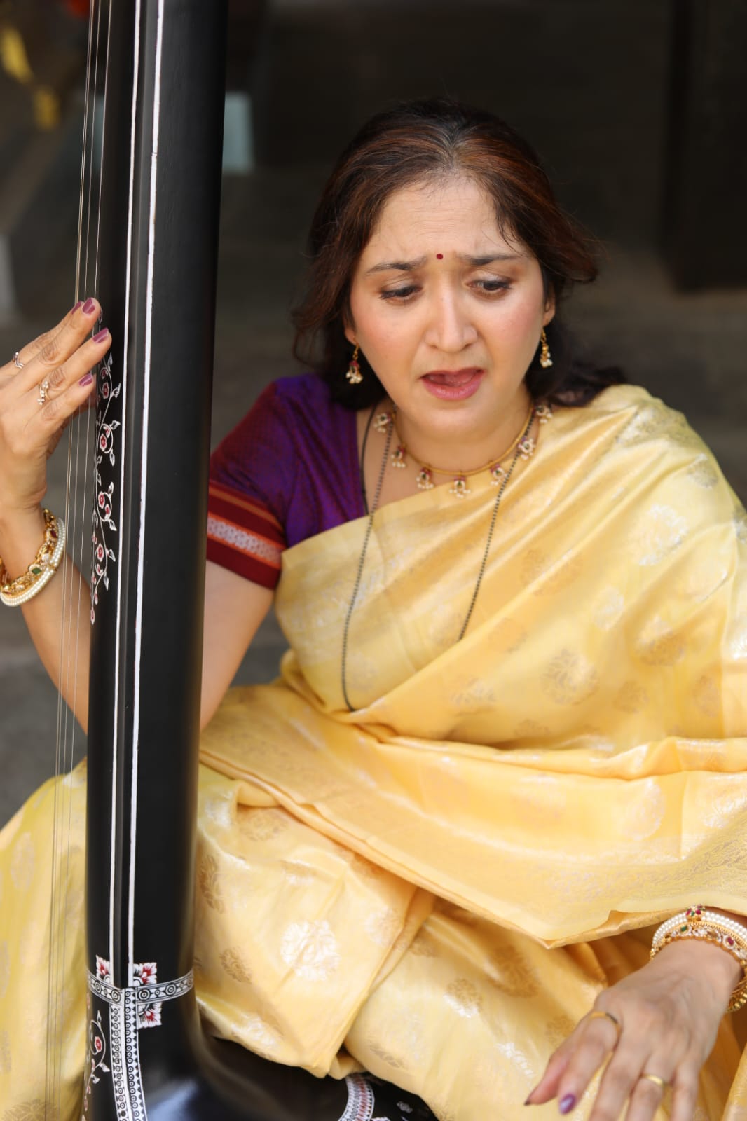 मृणाल नाटेकर – भिडे Photo 18